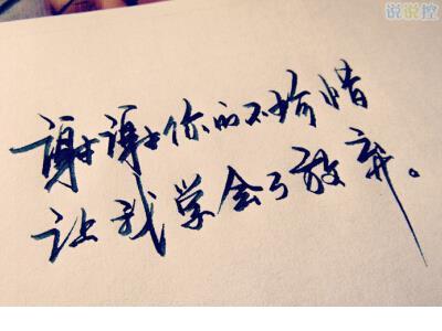 心情不好流泪了的说说