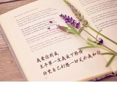 操场的拼音