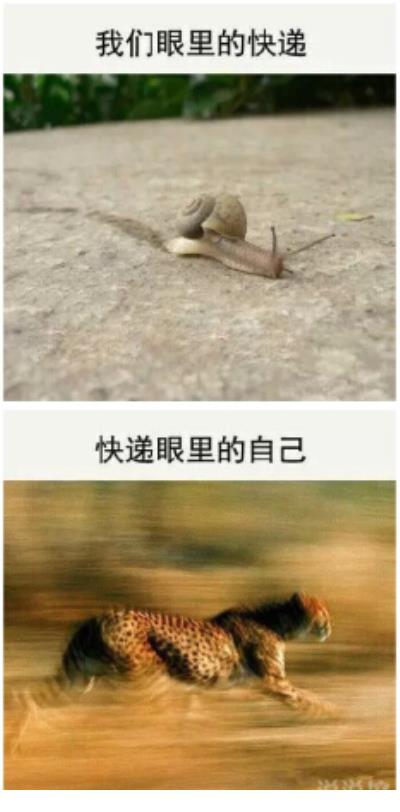 描写水的拟人句大全