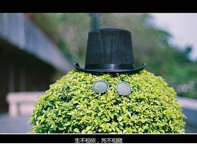 形容蓝天白云绿草地的优美句子