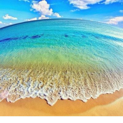 浪漫的爱情句子