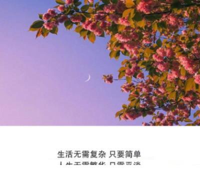 安全生产标语横幅标语
