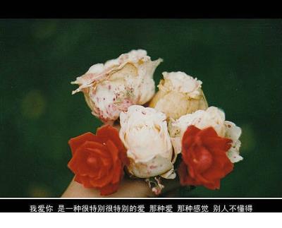 qq励志签名