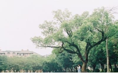 一段祝福语30字