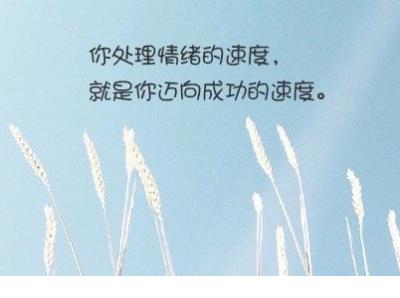 让一切随遇而安经典语录