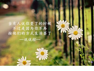 瓦是用什么材枓做的