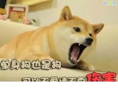 禁止秸秆露天焚烧宣传