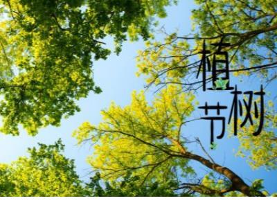 房地产销售口号8个字