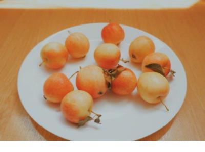 学校励志标语10字古语