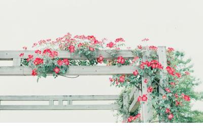 甜蜜爱情句子精辟简短