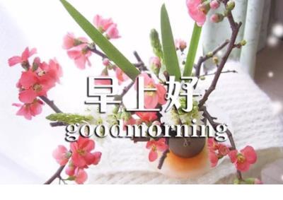 描写景物的句子