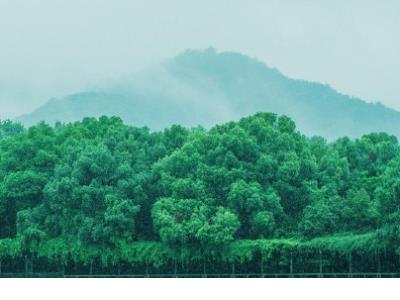 高考200天倒计时班级口号