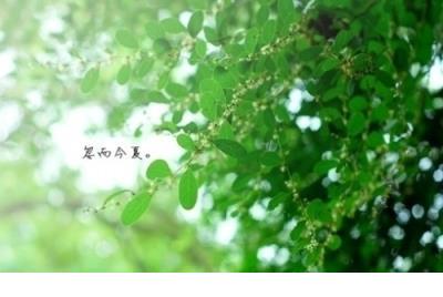 关于梦想的说说短语 关于梦想和现实的说说