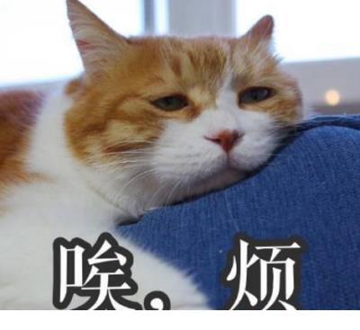 幽默的单身交友宣言