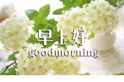 很烦很压抑的内心郁闷的伤感说说：我不知道我能否入睡
