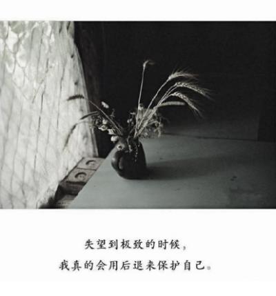 爱情短句12个字有内涵