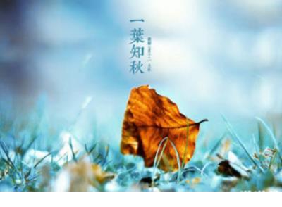 描写动漫少女外貌的句子