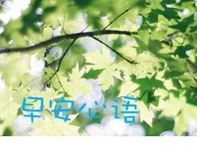 2019搞笑朋友圈说说
