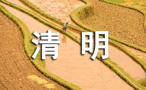 清明改写作文400字合集九篇