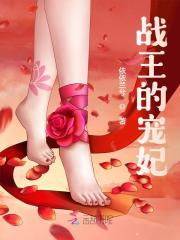 续弦王妃不受宠
