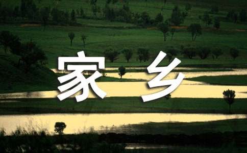 家乡的年味作文14篇（热门）
