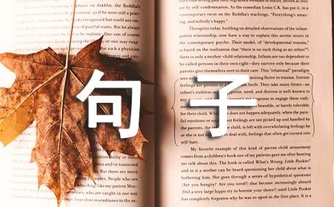 顶级走心的精辟句子