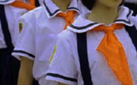“红领巾奖章”学生先进事迹介绍