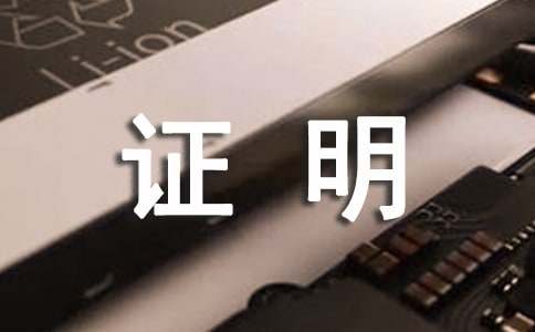 （精华）收入证明